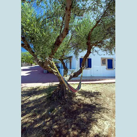 Contaratos Lettings 2
